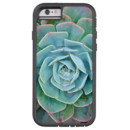 Succulent iPhone Case