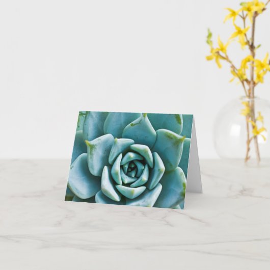 Succulent Kaart (Gele Bloem)