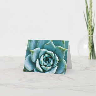 Succulent Kaart