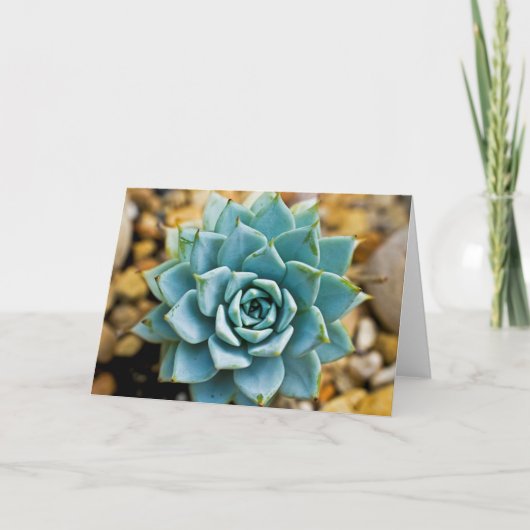 Succulent Kaart (Voorkant)