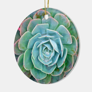 Succulent Keramisch Ornament