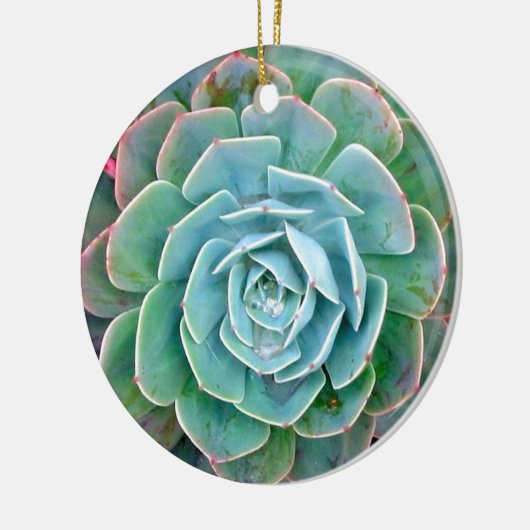 Succulent Keramisch Ornament (Links)