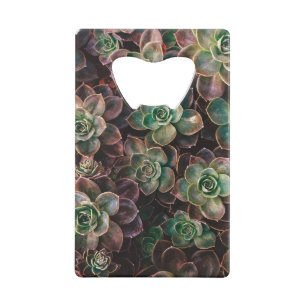Succulent Kredietkaart Flessenopener