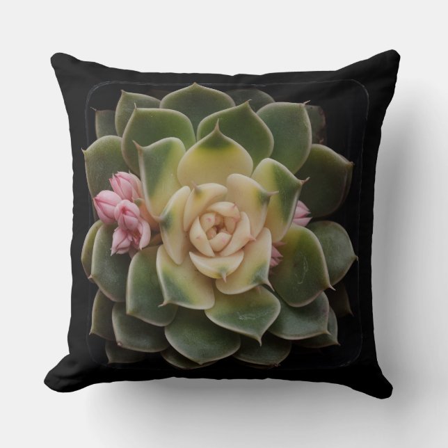 Succulent Kussen (Voorkant)
