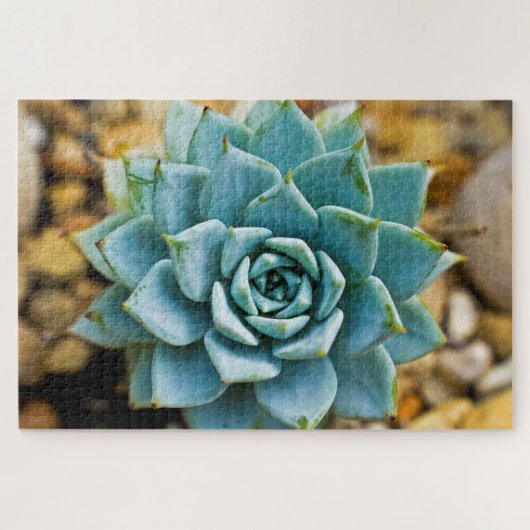 Succulent Legpuzzel (Horizontaal)