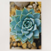 Succulent Legpuzzel (Verticaal)