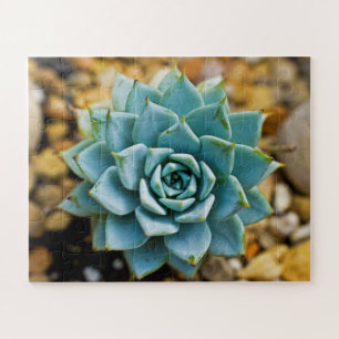 Succulent Legpuzzel