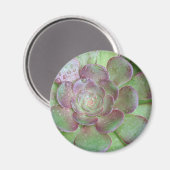 Succulent Magneet (Voorkant / Achterkant)