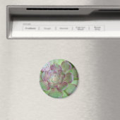 Succulent Magneet (Insitu (Vaatwasser))