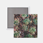 Succulent Magneet (Voorkant / Achterkant)