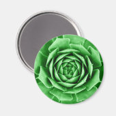 Succulent Magneet (Voorkant / Achterkant)