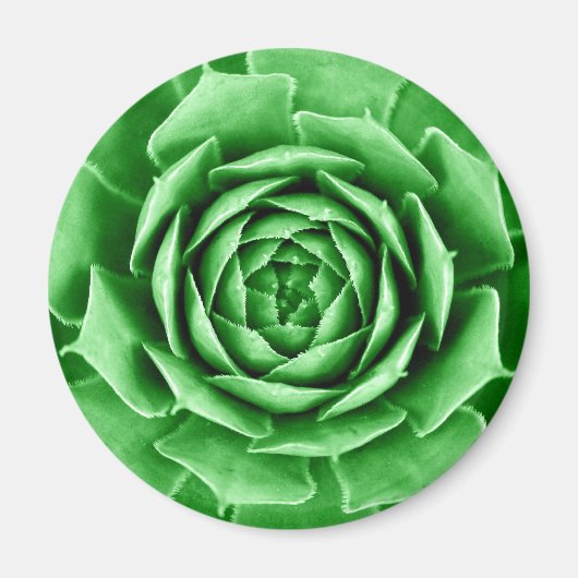 Succulent Magneet (Voorkant)