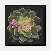 Succulent Magneet (Voorkant)