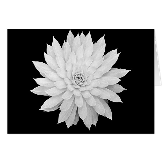 Succulent Mandala (Voorkant Horizontaal)