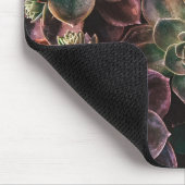 Succulent Muismat (Hoek)