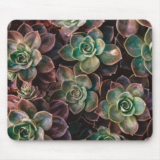 Succulent Muismat (Voorkant)