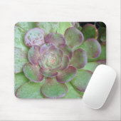 Succulent Muismat (Met muis)