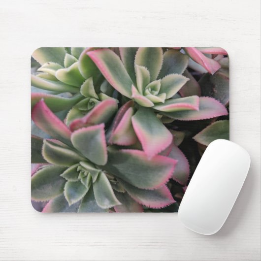 Succulent Muismat (Met muis)