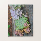 Succulent op driftwood legpuzzel (Verticaal)