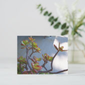 Succulent op een Oxnard Deck....Ontwerp van de nat Briefkaart (Staand voorkant)