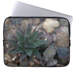 Succulent op Rocks Laptop Sleeve