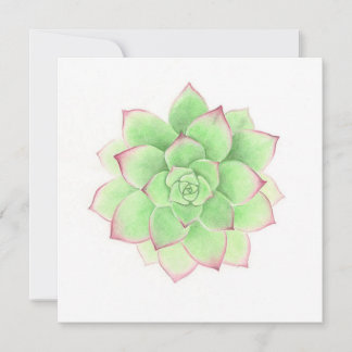 Succulent - Origineel kunstwerk van Meghan Russell Feestdagenkaart