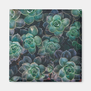 Succulent Patroon Magneet