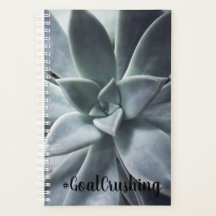Succulent Planner voor het overspoelen van goal