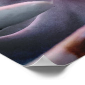 Succulent Plant Up Close Natuur Foto Poster (Hoek)