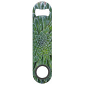 Succulent plante du désert (Dos)