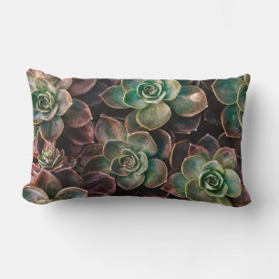  #Succulent Planten Kussen