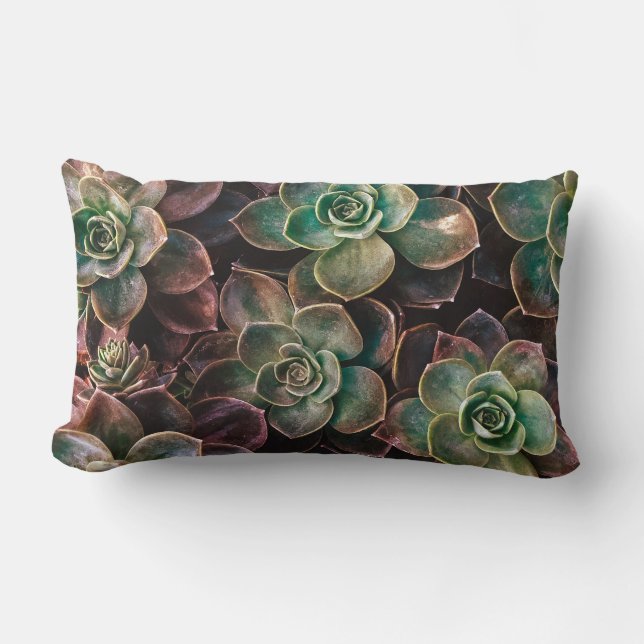  #Succulent Planten Kussen (Voorkant)