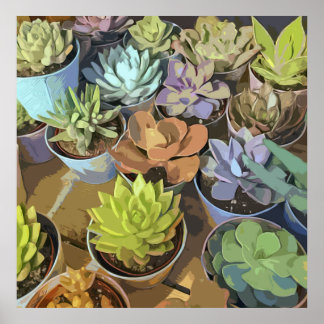 Succulent Poster
