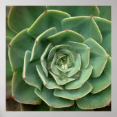 Succulent Print 2 (Voorkant)