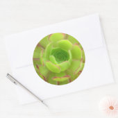 Succulent Ronde Sticker (Envelop)