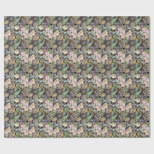 Succulent Sempervivums - Grote besnoeiing-uitt Cadeaupapier (Vlak)