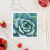 Succulent Servet (Insitu)