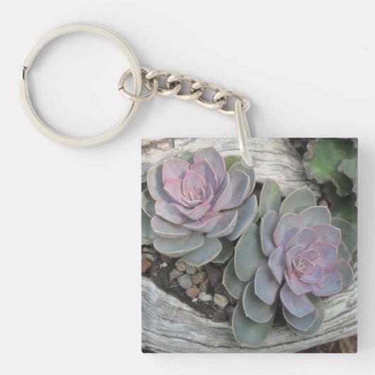 Succulent Sleutelhanger (Voorkant)