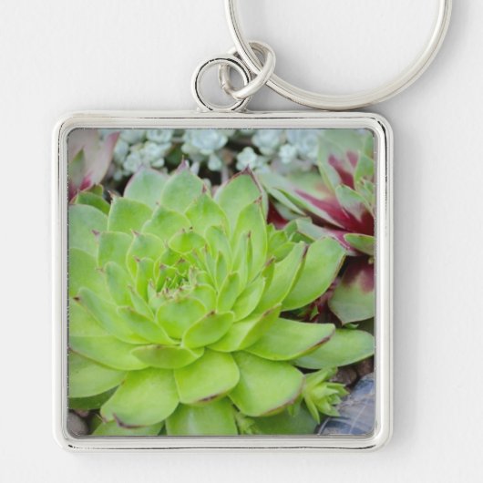 Succulent Sleutelhanger (Voorkant)