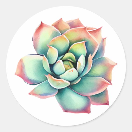 Succulent Sticker (Voorkant)