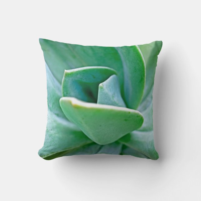 Succulent Swirl Kussen (Voorkant)