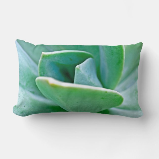 Succulent Swirl Kussen (Voorkant)