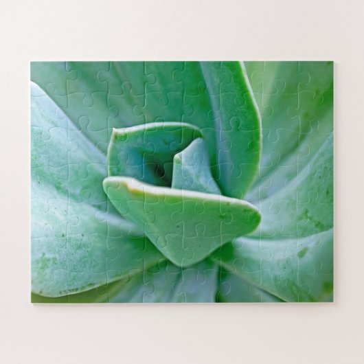 Succulent Swirl Legpuzzel (Horizontaal)