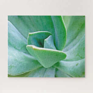 Succulent Swirl Legpuzzel