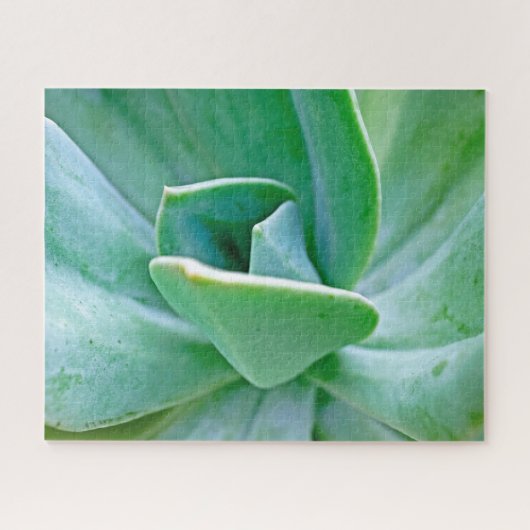 Succulent Swirl Legpuzzel (Horizontaal)