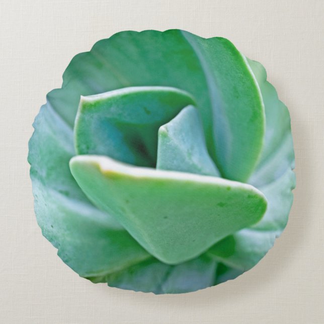 Succulent Swirl Rond Kussen (Voorkant)