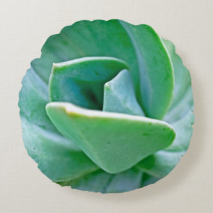 Succulent Swirl Rond Kussen