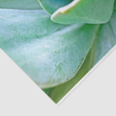 Succulent Swirl Tissuepapier (Detail)