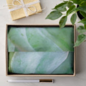 Succulent Swirl Tissuepapier (Geschenk)