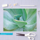 Succulent Swirl Tissuepapier (Craft)
